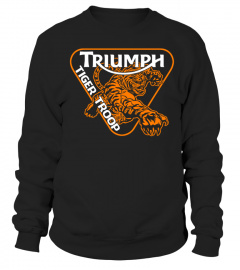 Triumph Tiger BK (2)