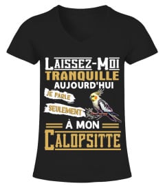 LAISSEZ-MOI TRANQUILLE AUJOURD'HUI JE PARLE SEULEMENT À MON Calopsitte