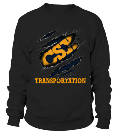 CSX TRANSPORTATION