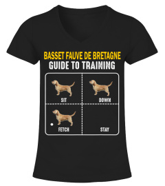 Basset Fauve de Bretagne Guide To Training