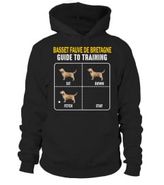 Basset Fauve de Bretagne Guide To Training