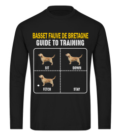 Basset Fauve de Bretagne Guide To Training