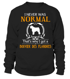 I never was normal that's why I got a Bouvier des Flandres