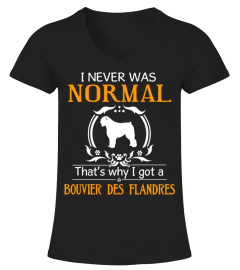 I never was normal that's why I got a Bouvier des Flandres