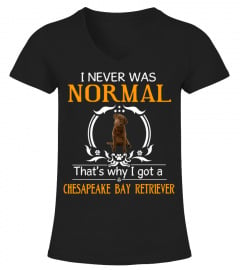 I never was normal that's why I got a Chesapeake Bay Retriever