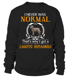 I never was normal that's why I got a Lagotto Romagnolo