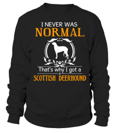 I never was normal that's why I got a Scottish Deerhound