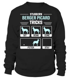 Berger Picard Dog Owner