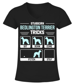 Bedlington Terrier Dog Owner