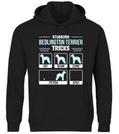 Bedlington Terrier Dog Owner