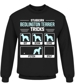 Bedlington Terrier Dog Owner