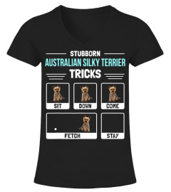 Australian Silky Terrier Dog Owner