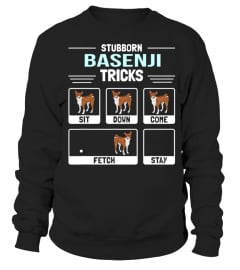 Basenji Dog Owner