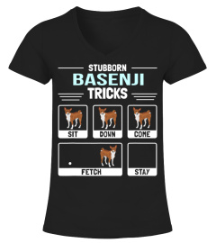 Basenji Dog Owner