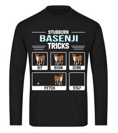 Basenji Dog Owner