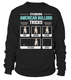 American Bulldog Dog Owner