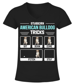 American Bulldog Dog Owner