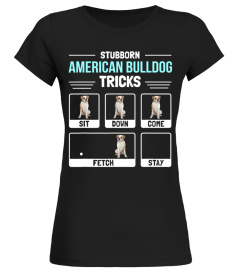 American Bulldog Dog Owner