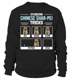 Chinese Shar-Pei Dog Owner