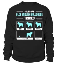 Olde English Bulldogge Dog Owner