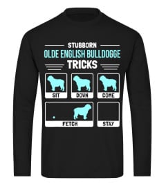 Olde English Bulldogge Dog Owner