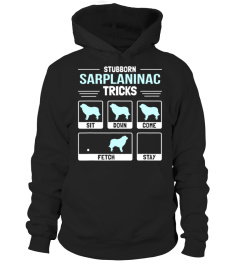 Sarplaninac Dog Owner