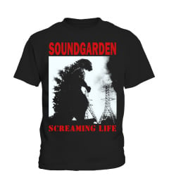 Soundgarden BK (5)