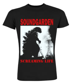 Soundgarden BK (5)