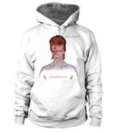 David Bowie - Aladdin Sane WT (11)