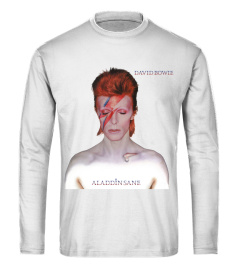 David Bowie - Aladdin Sane WT (11)