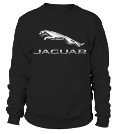 BK 001.Jaguar Logo 2012-2021