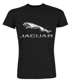 BK 001.Jaguar Logo 2012-2021