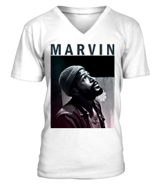 Marvin gaye WT (10)