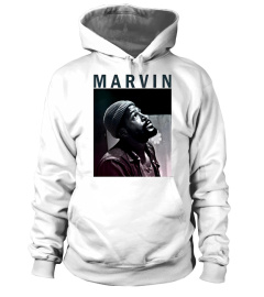 Marvin gaye WT (10)