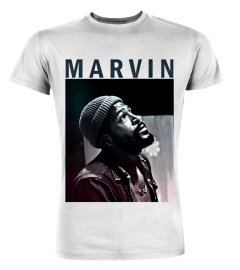 Marvin gaye WT (10)