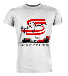 Ayrton Senna WT (9)