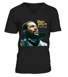 Marvin Gaye BK (34)