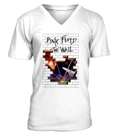 Pink floyd  - The wall (a)