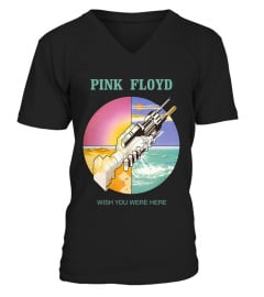 Pink Floyd BK (22)