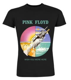 Pink Floyd BK (22)