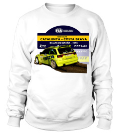 Seat Ibiza Kit Car Rally
