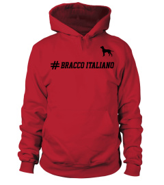 Bracco Italiano