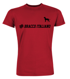 Bracco Italiano