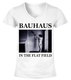 Bauhaus WT (1)