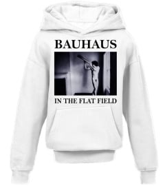 Bauhaus WT (1)