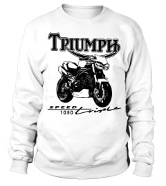 Triumph Speed Triple WT (3)