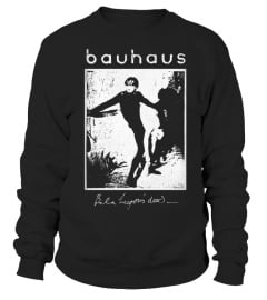 100IB-091-BK. Bauhaus, “Bela Lugosi’s Dead”