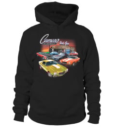 Chevy Camaro 2nd Gen Garage  Z28 RS SS USA1 IROC BK