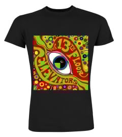 PSY200-037-BK. 13th Floor Elevators - The Psychedelic Sounds of the 13th Floor Elevators