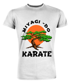 Karate Kid Shirts &amp; Cobra Kai WT (1)